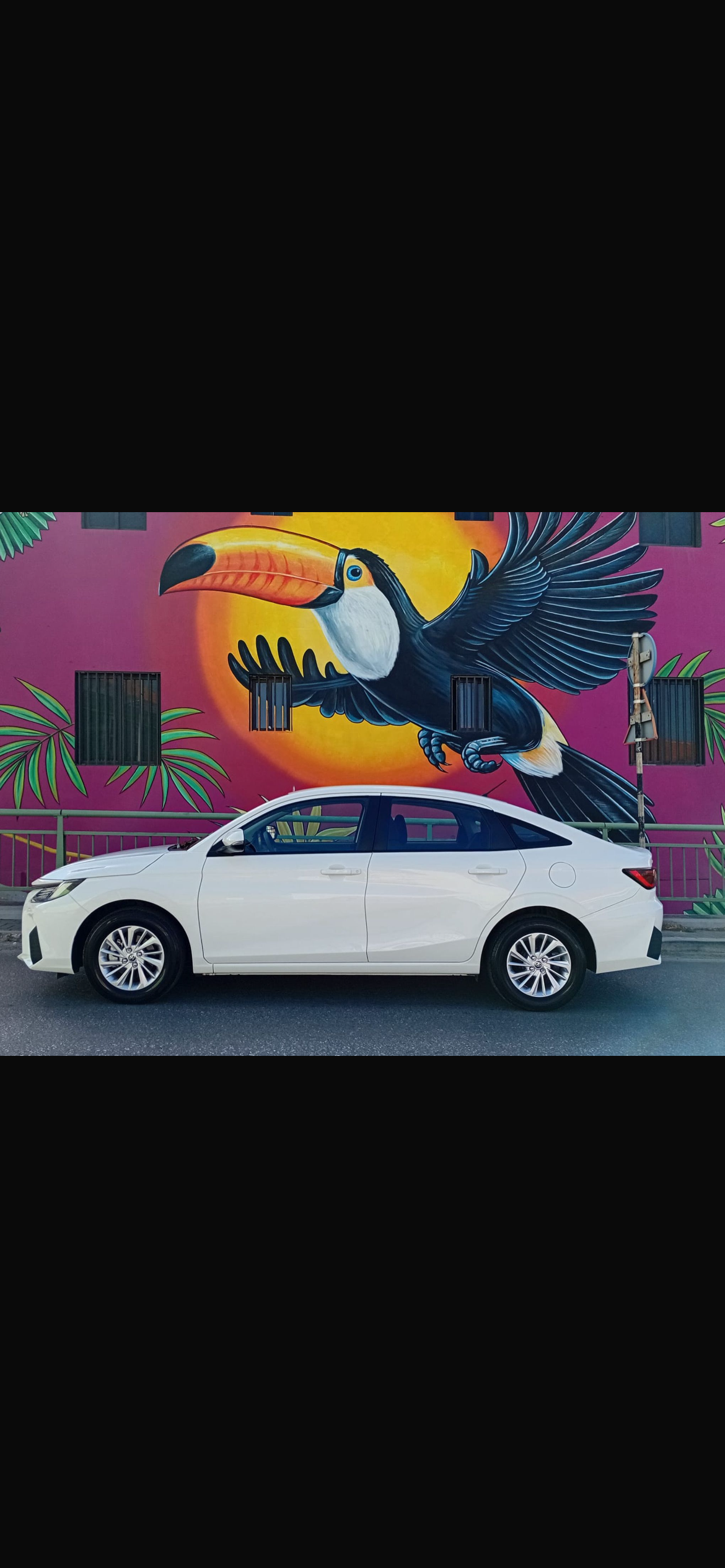 Car Rental